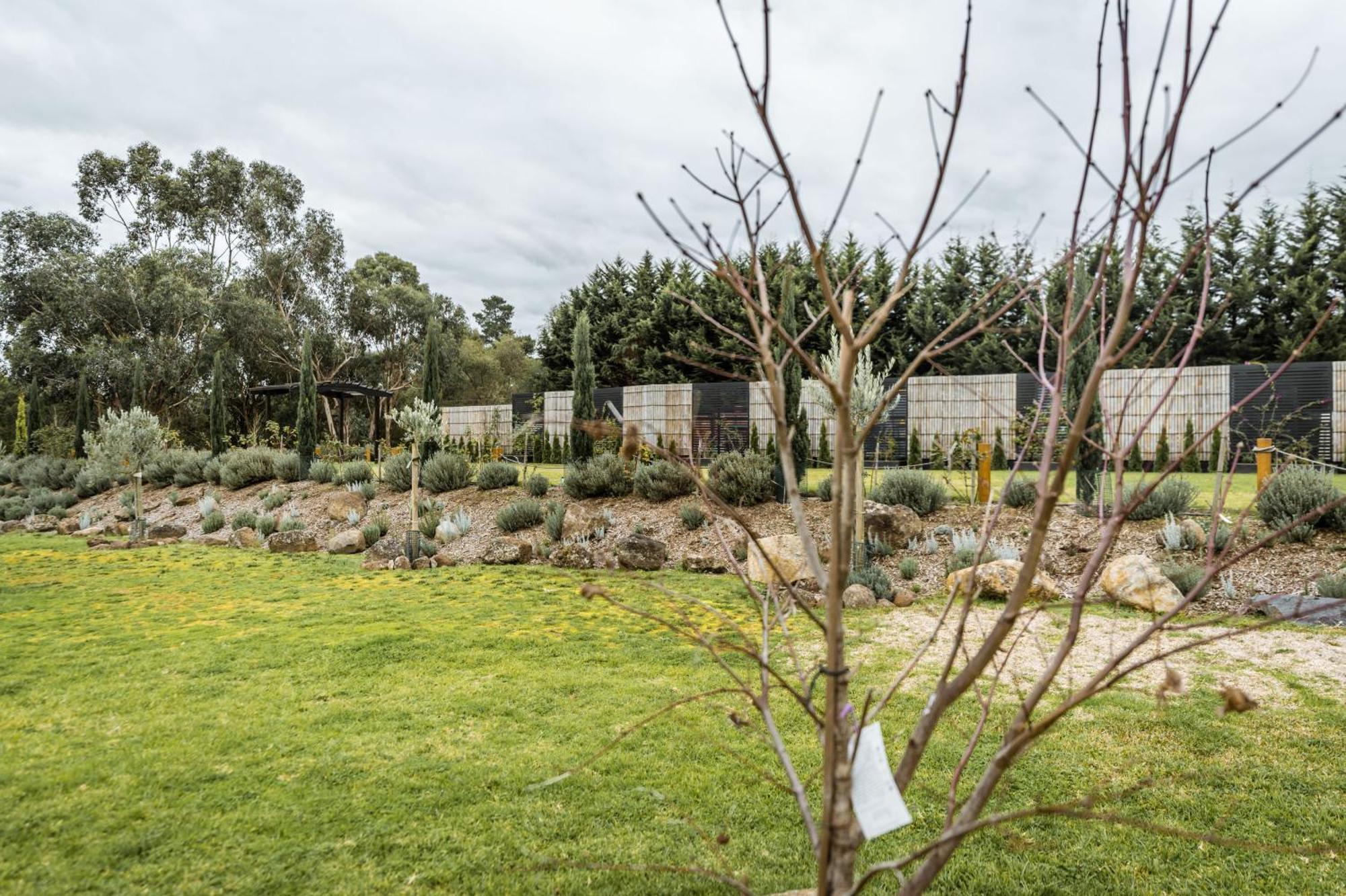 Foothills Lilydale Exterior foto